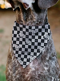 Peanuts Snoopy Smiling Face Checker Slip On Collar Pet Bandana - Bandana Only