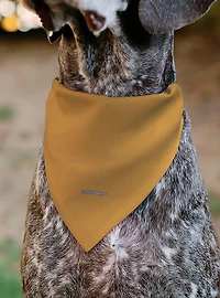 Peanuts Marcie Smiling Face Slip On Collar Pet Bandana - Bandana Only