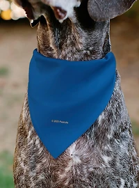 Peanuts Lucy Van Pelt Smiling Face Slip On Collar Pet Bandana - Bandana Only