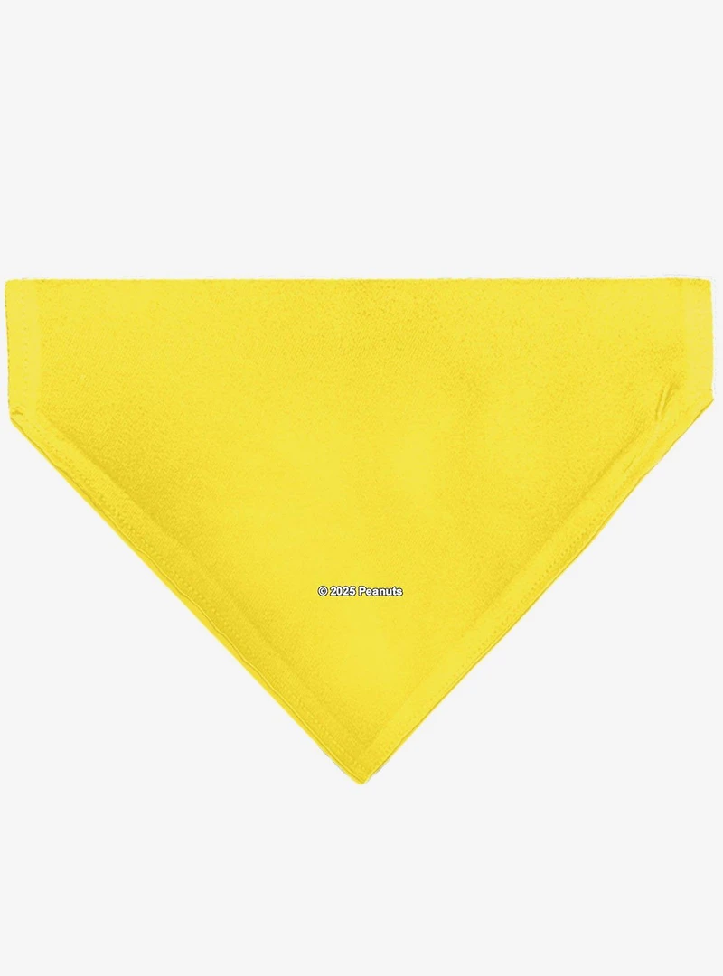 Peanuts Charlie Brown Smiling Face With Stripe Slip On Collar Pet Bandana - Bandana Only