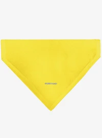 Peanuts Charlie Brown Smiling Face With Stripe Slip On Collar Pet Bandana - Bandana Only