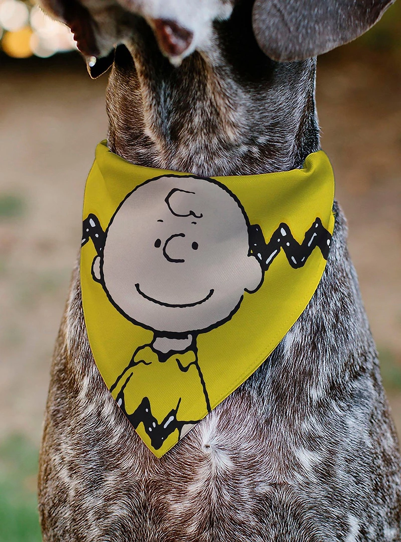 Peanuts Charlie Brown Smiling Face With Stripe Slip On Collar Pet Bandana - Bandana Only