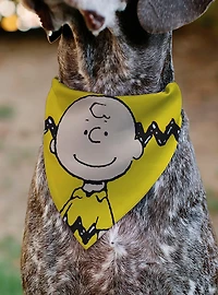 Peanuts Charlie Brown Smiling Face With Stripe Slip On Collar Pet Bandana - Bandana Only