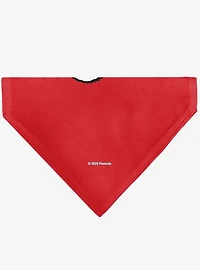 Peanuts Snoopy Smiling Face Slip On Collar Pet Bandana - Bandana Only