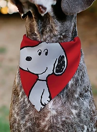 Peanuts Snoopy Smiling Face Slip On Collar Pet Bandana - Bandana Only