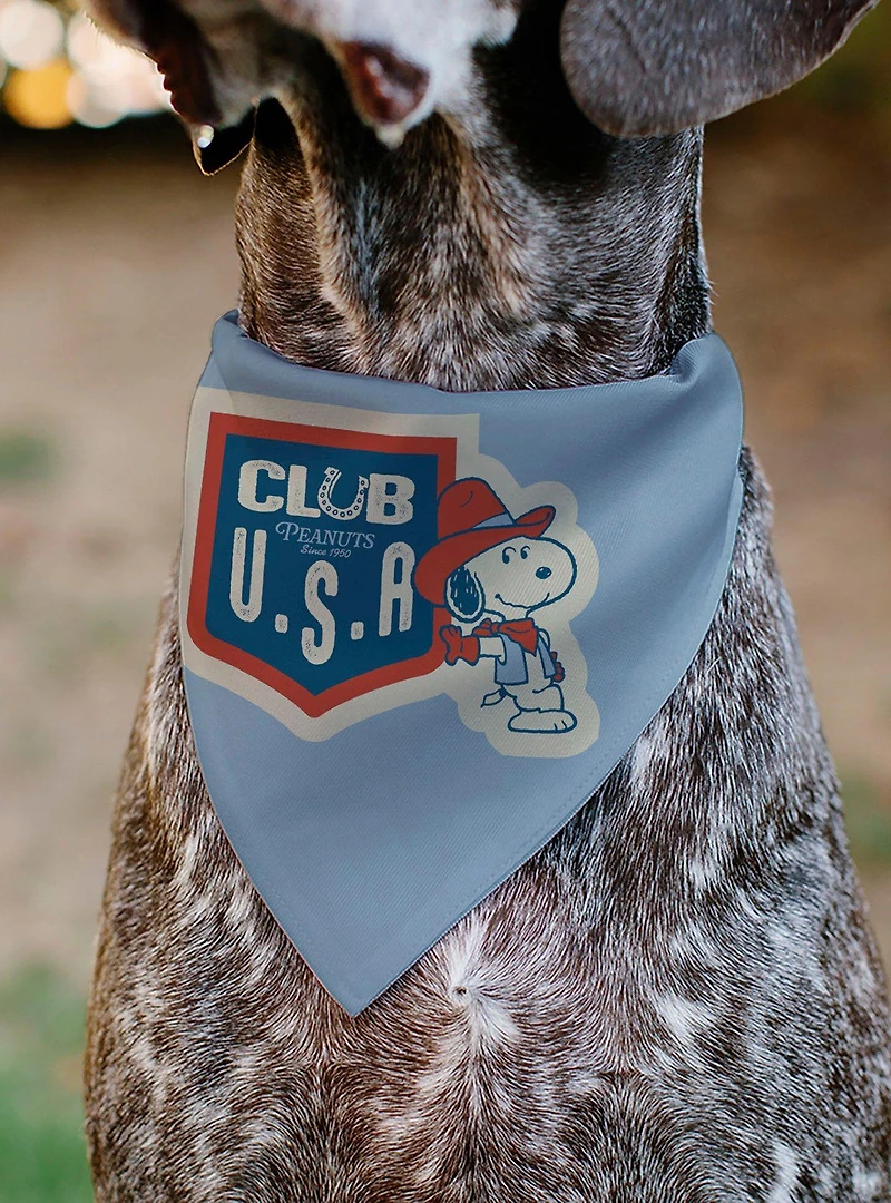 Peanuts Snoopy Cowboy USA Slip On Collar Pet Bandana - Bandana Only