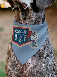 Peanuts Snoopy Cowboy USA Slip On Collar Pet Bandana - Bandana Only