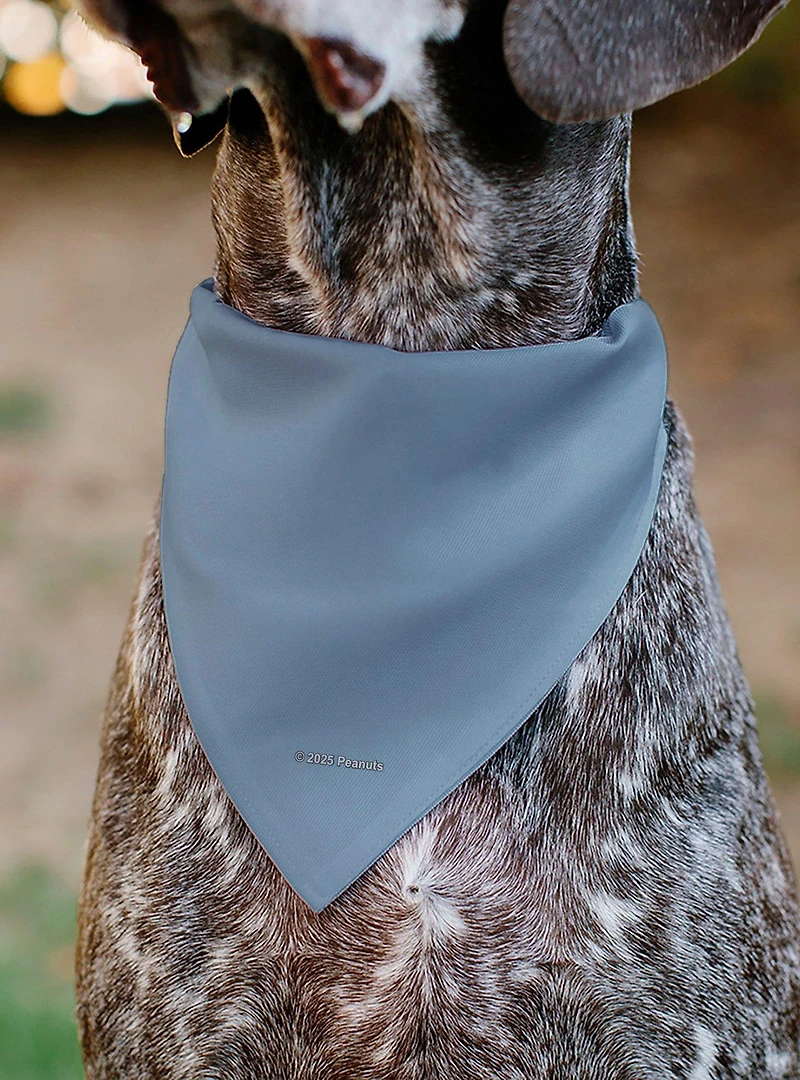 Peanuts Snoopy Cowboy USA Slip On Collar Pet Bandana - Bandana Only
