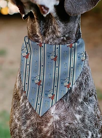 Peanuts Snoopy Yee Haw America and Icons Slip On Collar Pet Bandana - Bandana Only