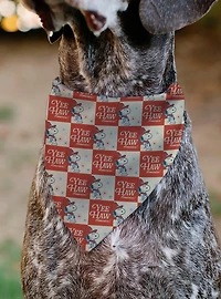 Peanuts Snoopy Yee Haw America Checker Slip On Collar Pet Bandana - Bandana Only