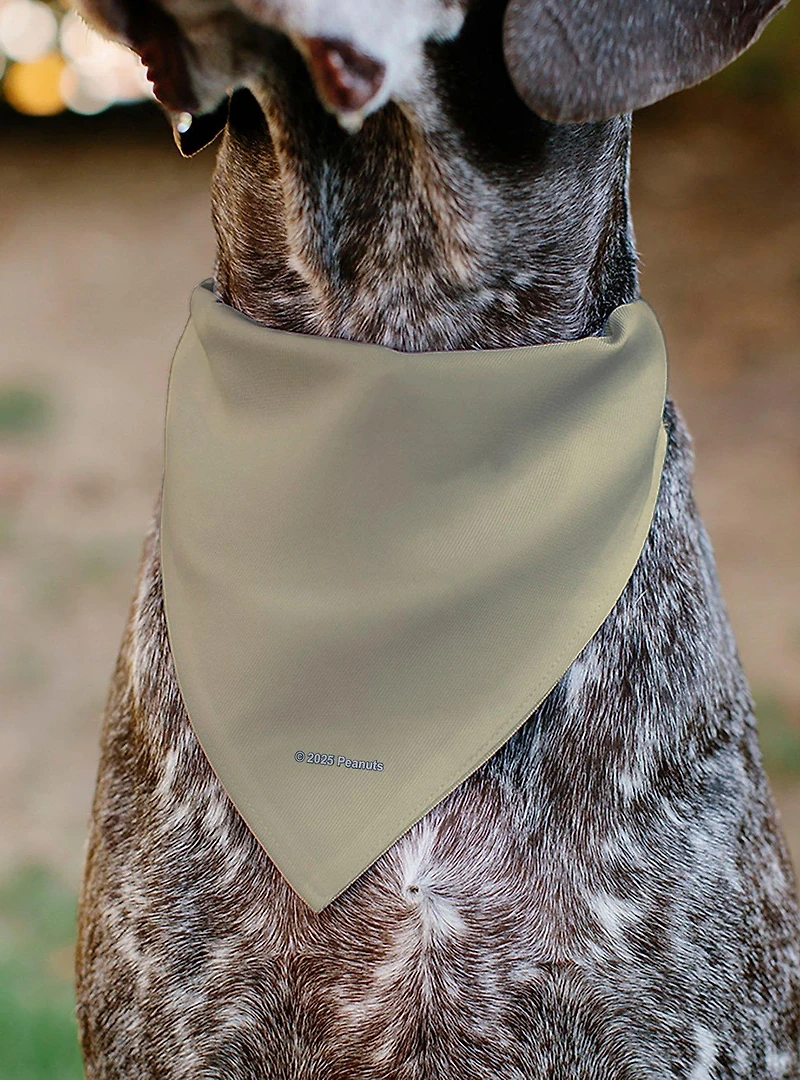 Peanuts Snoopy All American Rodeo Club Slip On Collar Pet Bandana - Bandana Only