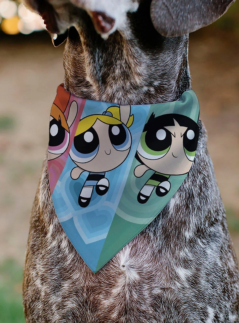 The Powerpuff Girls Flight Pose Slip On Collar Pet Bandana - Bandana Only