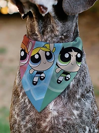 The Powerpuff Girls Flight Pose Slip On Collar Pet Bandana - Bandana Only