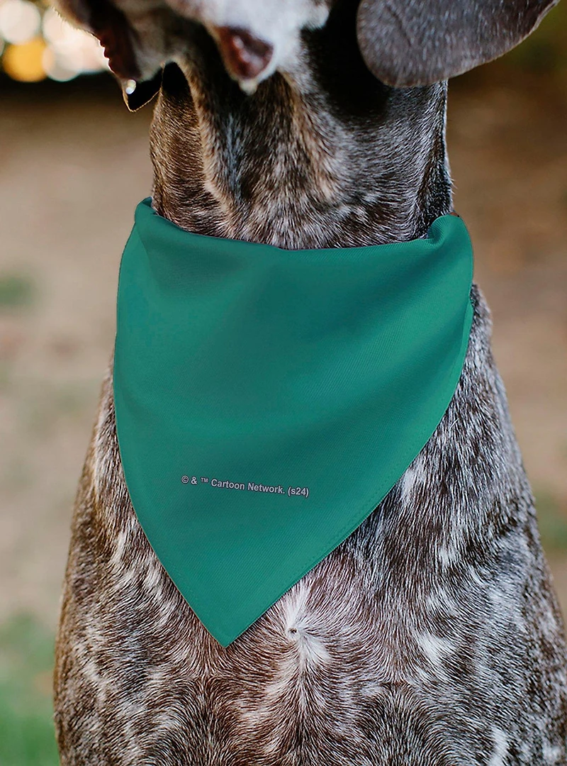 The Powerpuff Girls Flight Pose Slip On Collar Pet Bandana - Bandana Only