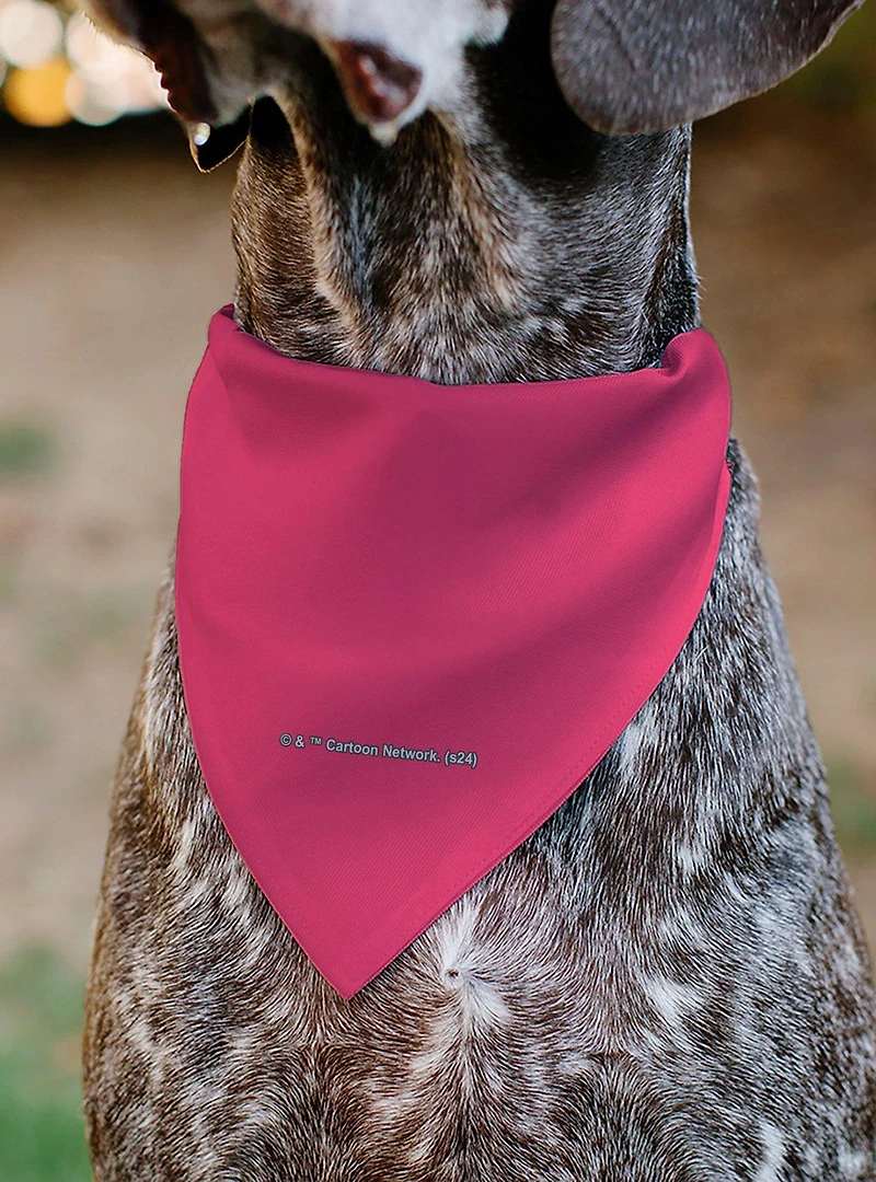 The Powerpuff Girls Super Cute Super Fierce Slip On Collar Pet Bandana - Bandana Only
