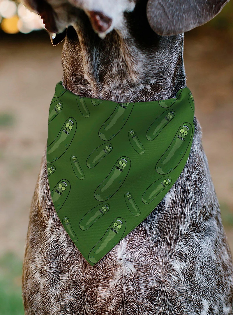 Rick and Morty Pickle Rick Pose Scattered Slip On Collar Pet Bandana - Bandana Only