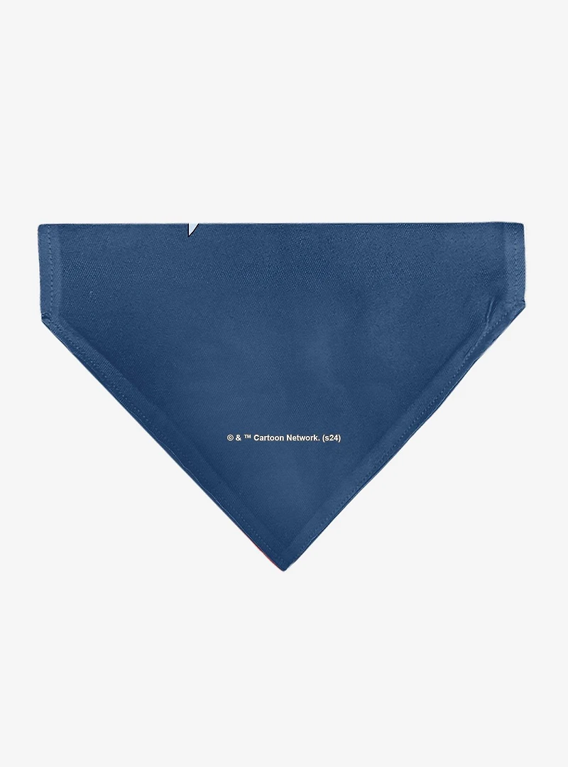 Rick and Morty Arms Crossed Pose Slip On Collar Pet Bandana - Bandana Only