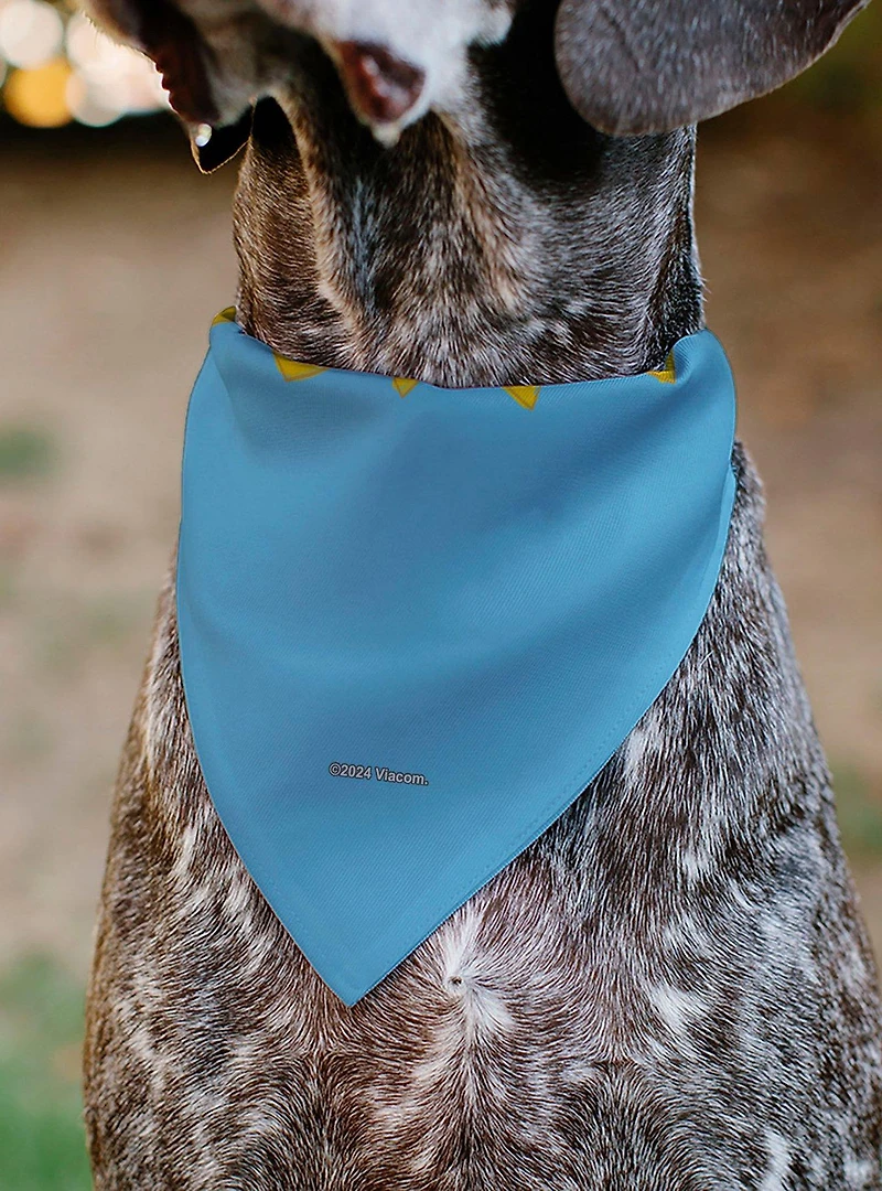 Rugrats Four Character Group Pose and Title Slip On Collar Pet Bandana - Bandana Only