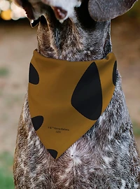 Scooby-Doo! Character Close Up SD Dog Tag Slip On Collar Pet Bandana - Bandana Only