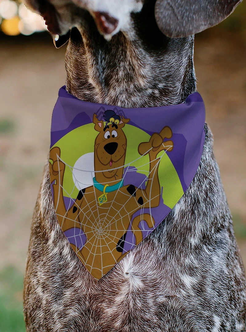 Scooby-Doo! Halloween Spider Web Creepy Crawlies Slip On Collar Pet Bandana - Bandana Only