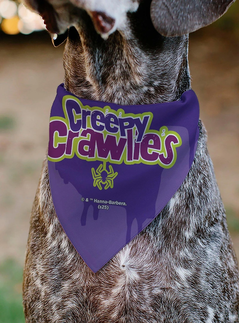 Scooby-Doo! Halloween Spider Web Creepy Crawlies Slip On Collar Pet Bandana - Bandana Only