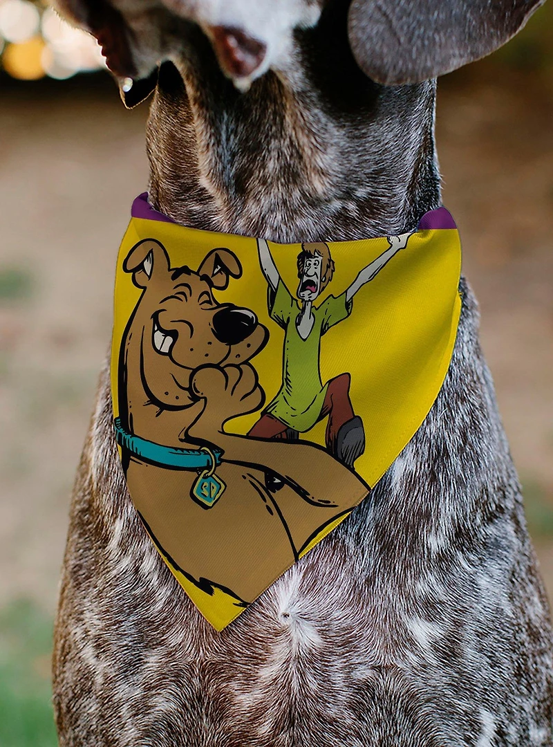 Scooby-Doo! and Shaggy Screaming Pose Slip On Collar Pet Bandana - Bandana Only