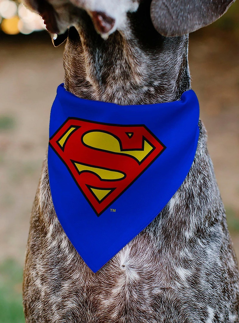 DC Comics Superman Shield Logo Slip On Collar Pet Bandana - Bandana Only