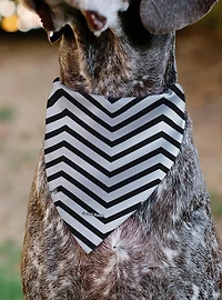 Barbie Script Heart Chevron Black Slip On Collar Pet Bandana - Bandana Only