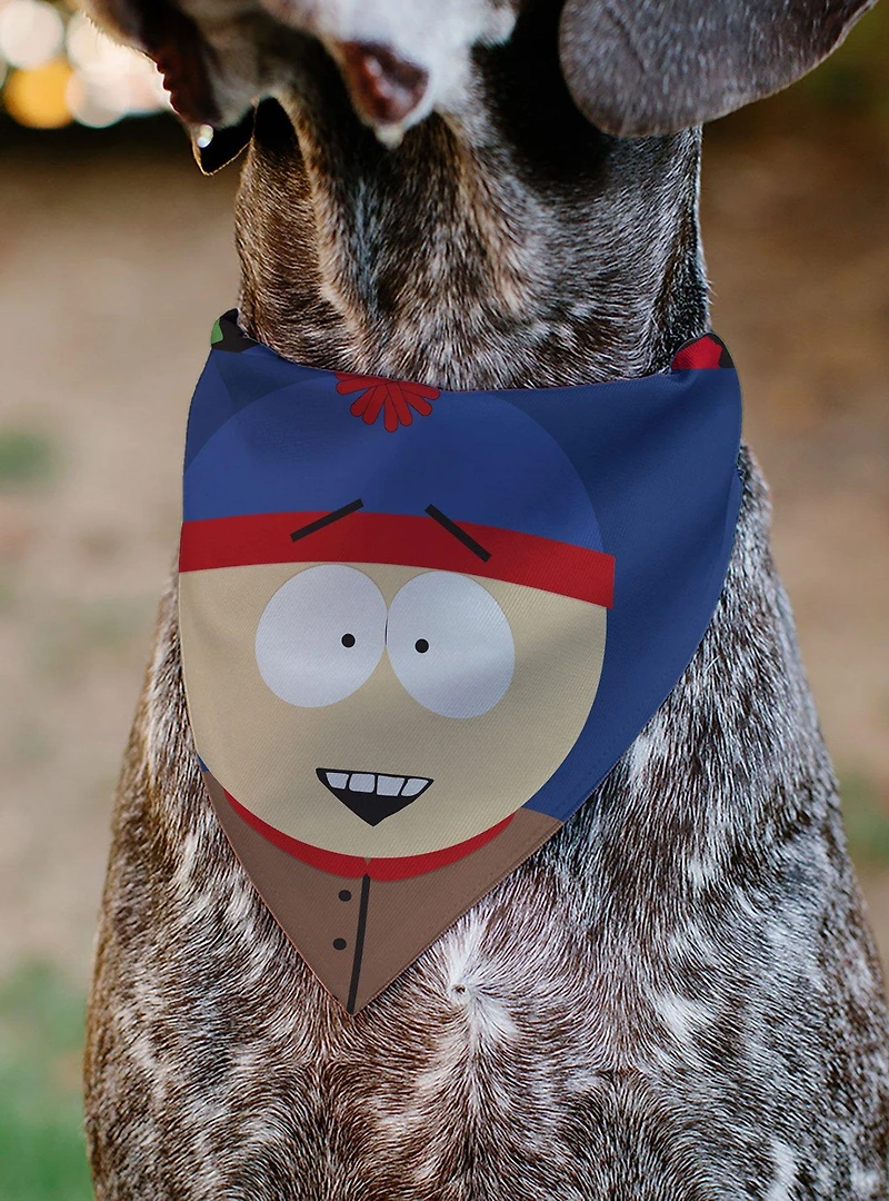South Park Stan Marsh Face Slip On Collar Pet Bandana - Bandana Only