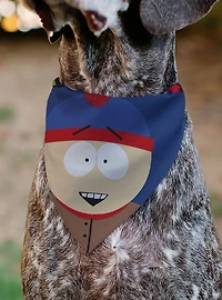 South Park Stan Marsh Face Slip On Collar Pet Bandana - Bandana Only