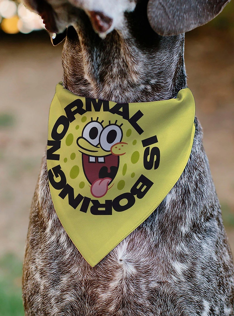 SpongeBob SquarePants Normal Is Boring Pose Slip On Collar Pet Bandana - Bandana Only