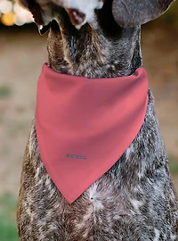 SpongeBob SquarePants Patrick Star Face Slip On Collar Pet Bandana - Bandana Only