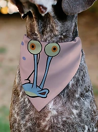 SpongeBob SquarePants Gary The Snail Face Slip On Collar Pet Bandana - Bandana Only