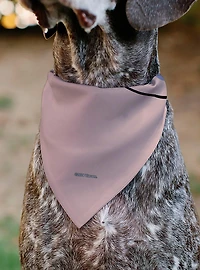 SpongeBob SquarePants Gary The Snail Face Slip On Collar Pet Bandana - Bandana Only