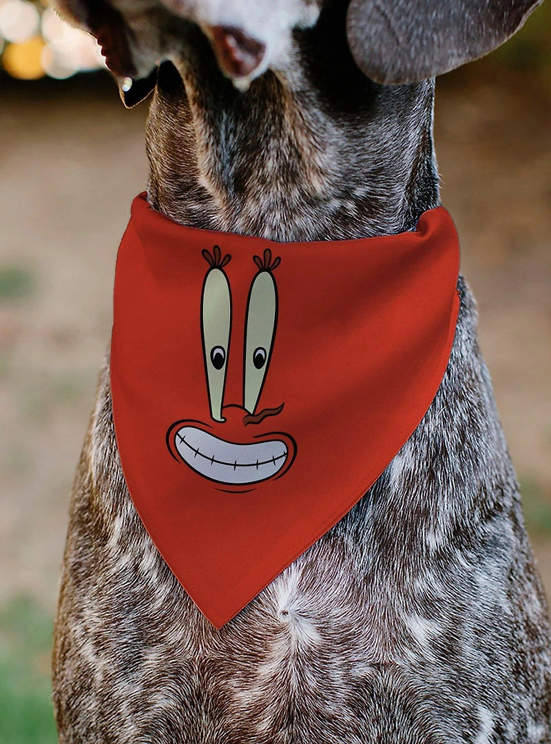 SpongeBob SquarePants Mr Krabs Character Slip On Collar Pet Bandana - Bandana Only