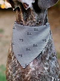 Barbie Script Stripe Black Slip On Collar Pet Bandana - Bandana Only