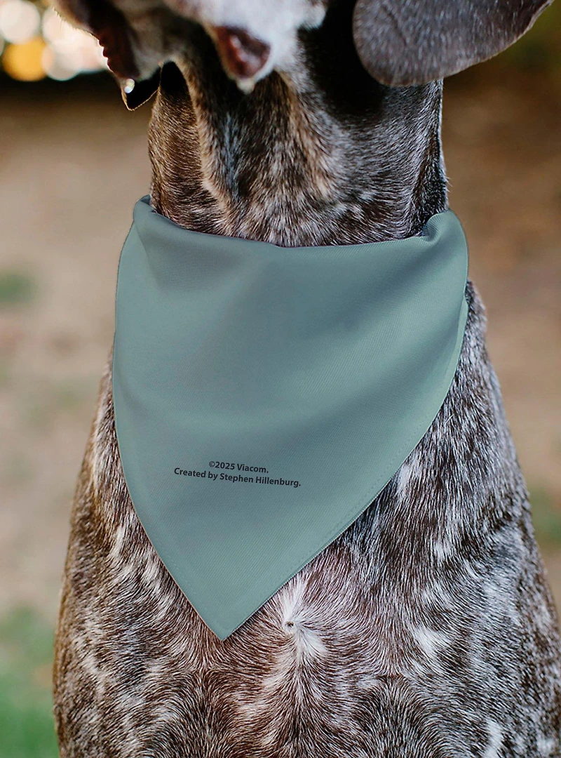 SpongeBob SquarePants Squidward Character Slip On Collar Pet Bandana - Bandana Only