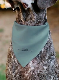 SpongeBob SquarePants Squidward Character Slip On Collar Pet Bandana - Bandana Only