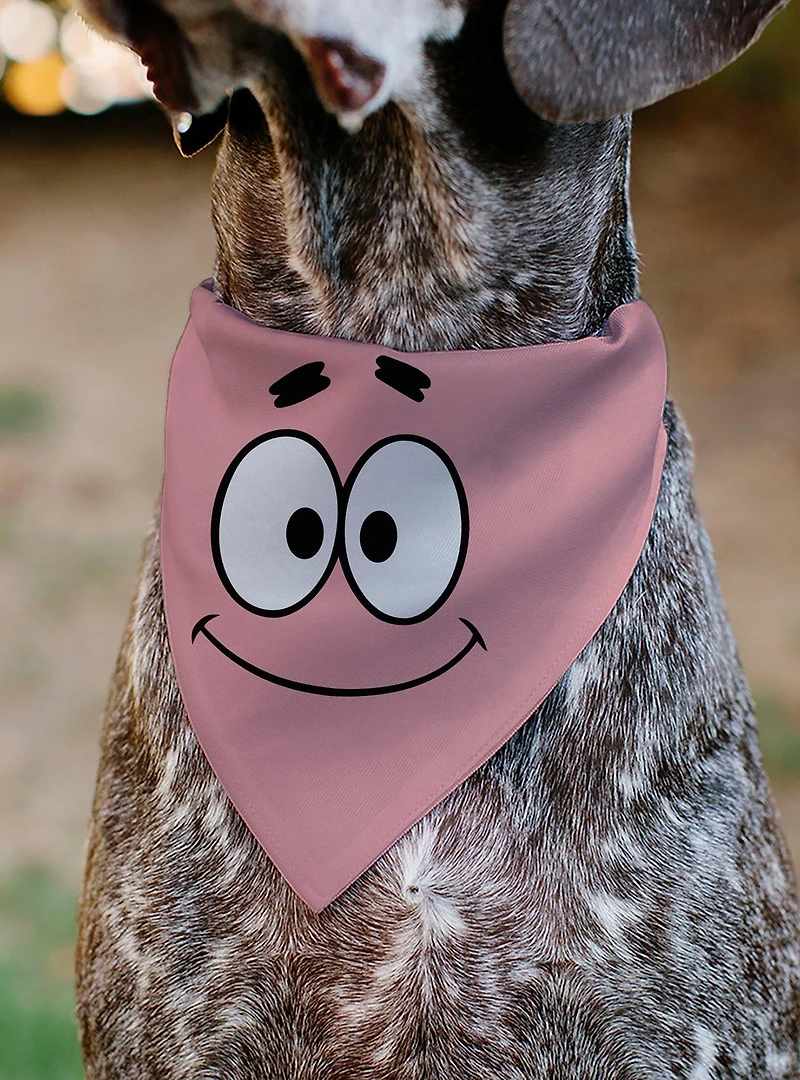 SpongeBob SquarePants Patrick Star Character Slip On Collar Pet Bandana - Bandana Only