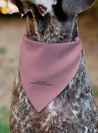 SpongeBob SquarePants Patrick Star Character Slip On Collar Pet Bandana - Bandana Only