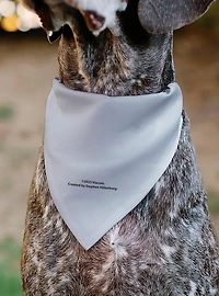 SpongeBob SquarePants Tie Outfit Character Slip On Collar Pet Bandana - Bandana Only