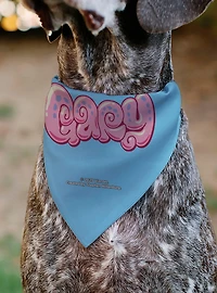 SpongeBob SquarePants Gary The Snail Smiling Face Slip On Collar Pet Bandana - Bandana Only