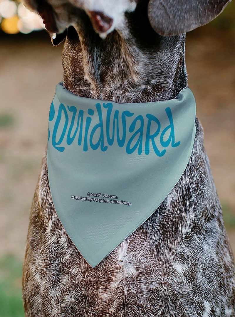 SpongeBob SquarePants Squidward Frowning Face Slip On Collar Pet Bandana - Bandana Only