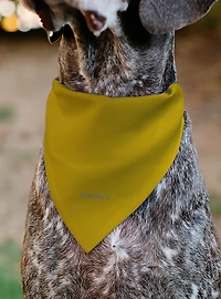 Star Trek Original Series Captain Kirk Golden Uniform Slip On Collar Pet Bandana - Bandana Only