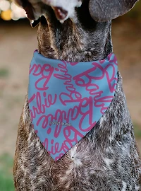 Barbie Autograph Script Scattered Slip On Collar Pet Bandana - Bandana Only