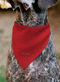 Star Trek Original Series Uniform Print Slip On Collar Pet Bandana - Bandana Only