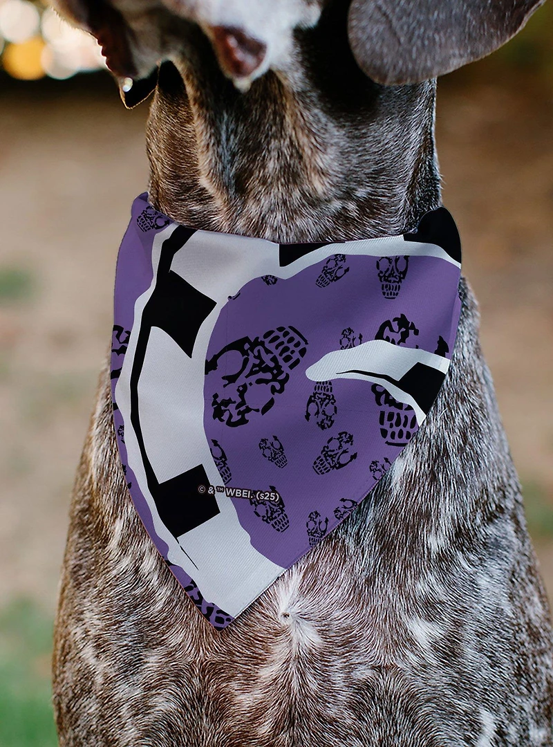 Beetlejuice Sandworm Pose and Skulls Icon Purple Black Slip On Collar Pet Bandana - Bandana Only