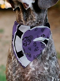 Beetlejuice Sandworm Pose and Skulls Icon Purple Black Slip On Collar Pet Bandana - Bandana Only