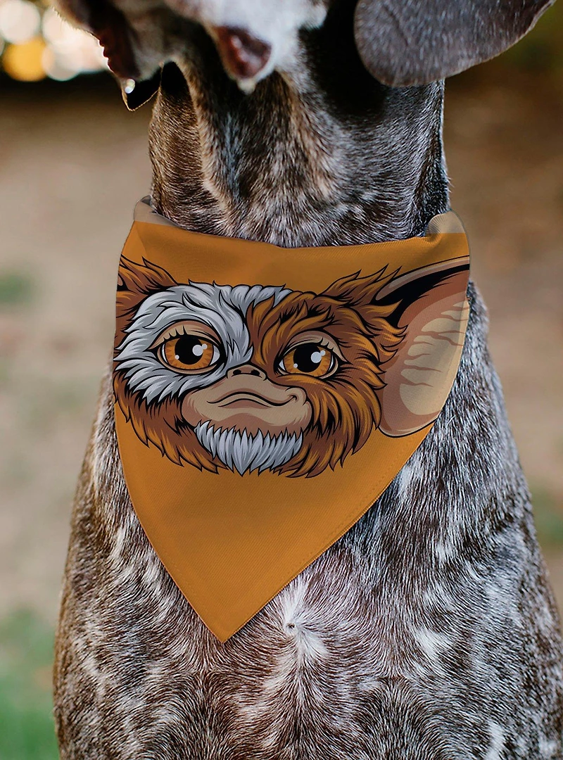 Gremlins Gizmo Face and Gremlins 1984 Varsity Slip On Collar Pet Bandana - Bandana Only