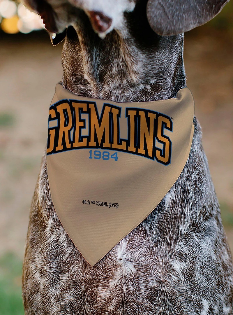 Gremlins Gizmo Face and Gremlins 1984 Varsity Slip On Collar Pet Bandana - Bandana Only